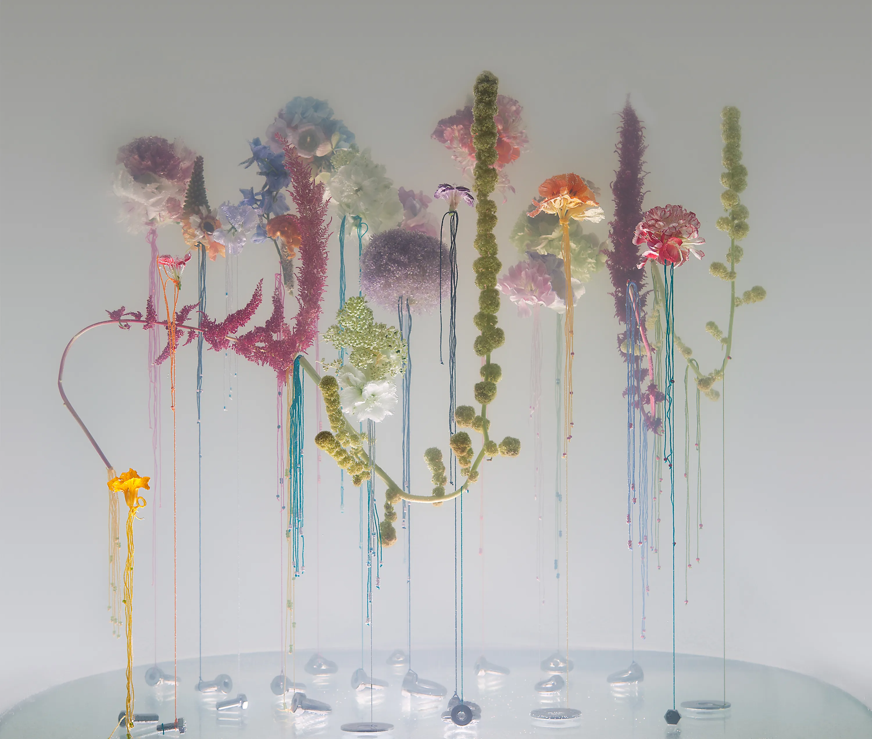 Anne ten Donkelaar - Image 1