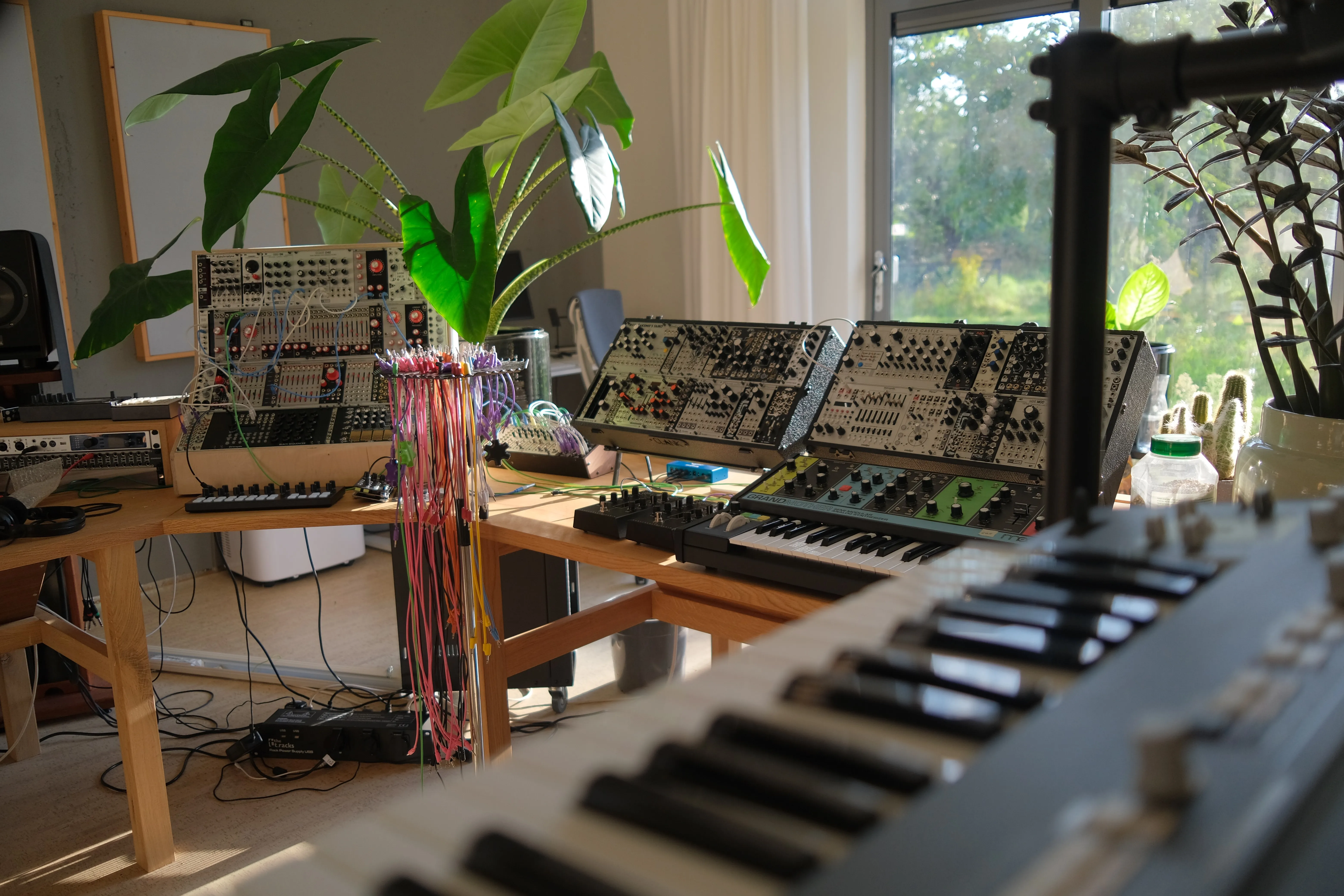 Thijs Koerselman - Image 1