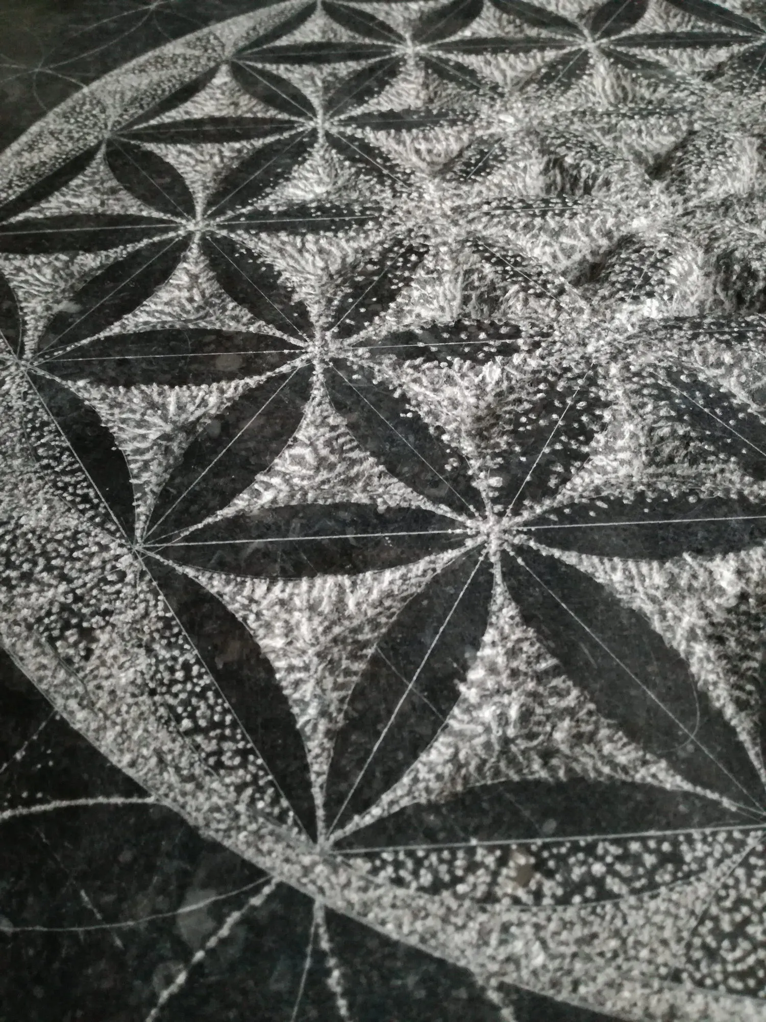 Leen Kessels - Image 1