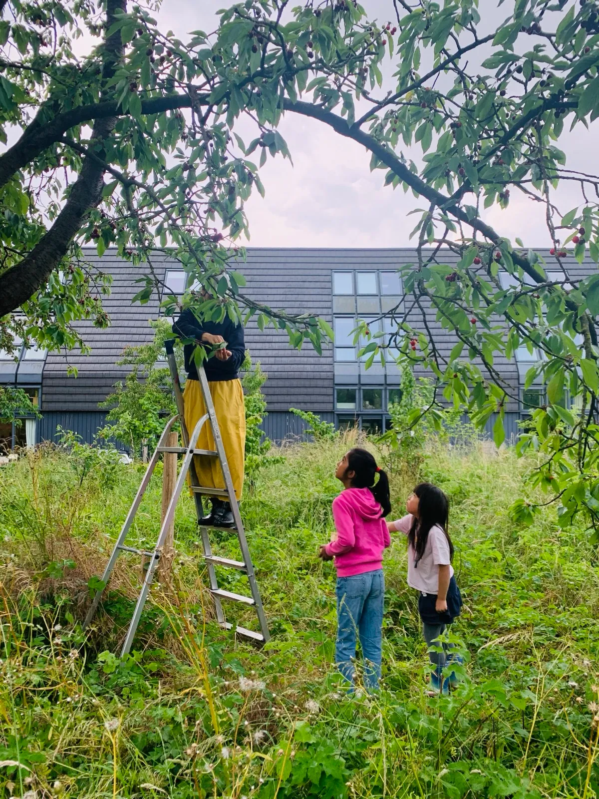 Op Voedsel Avontuur - 2